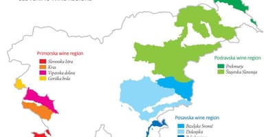Zemljevid Slovenije vino